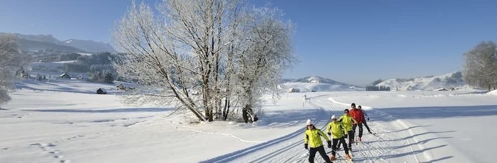 Snow and ski sports
