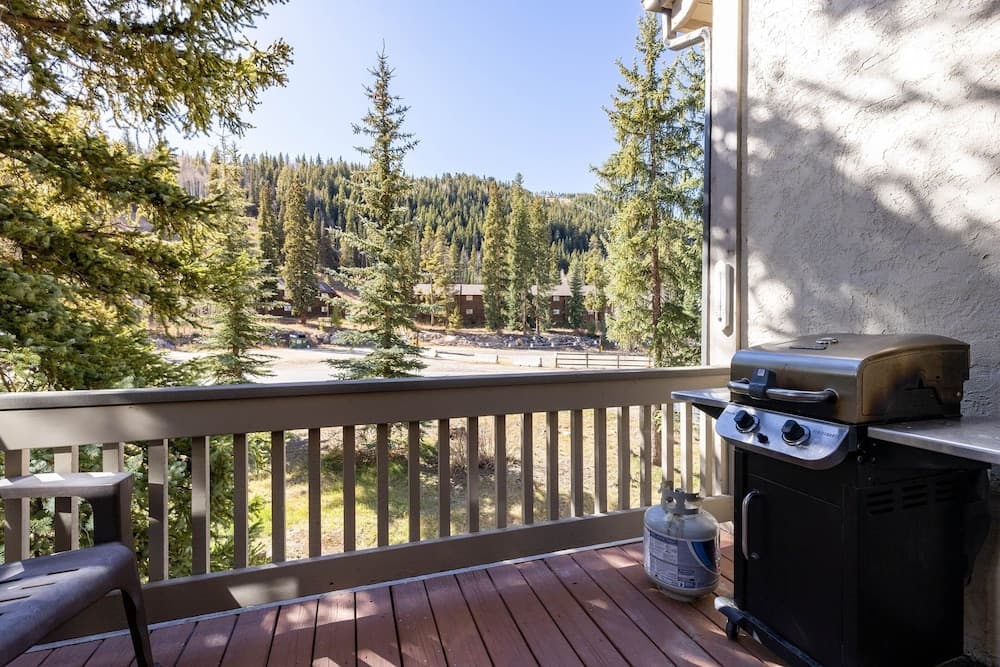 BBQ/picnic area