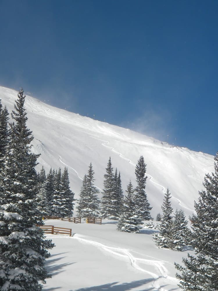 Snow and ski sports