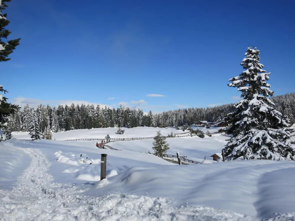 Snow and ski sports