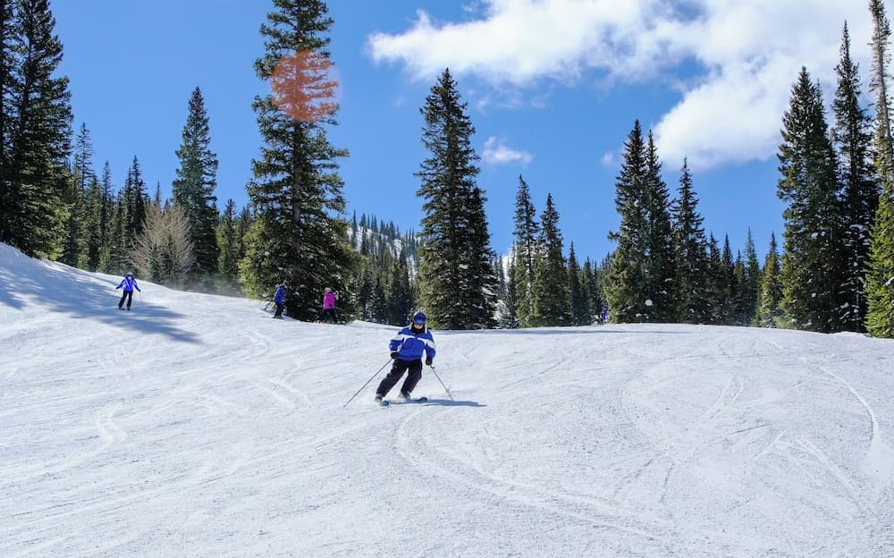 Skiing