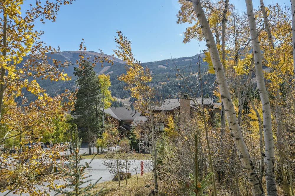Mountain view