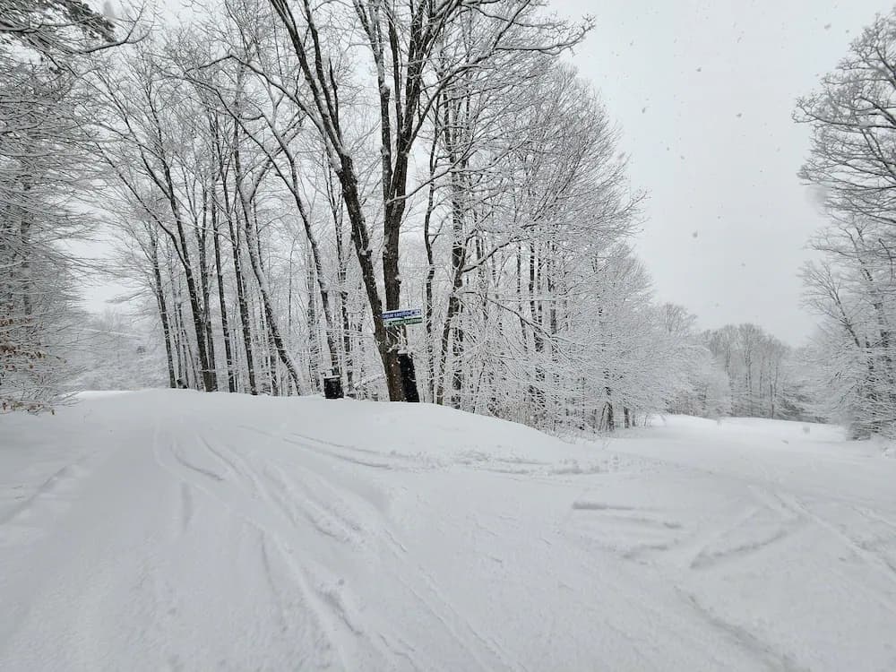 Skiing