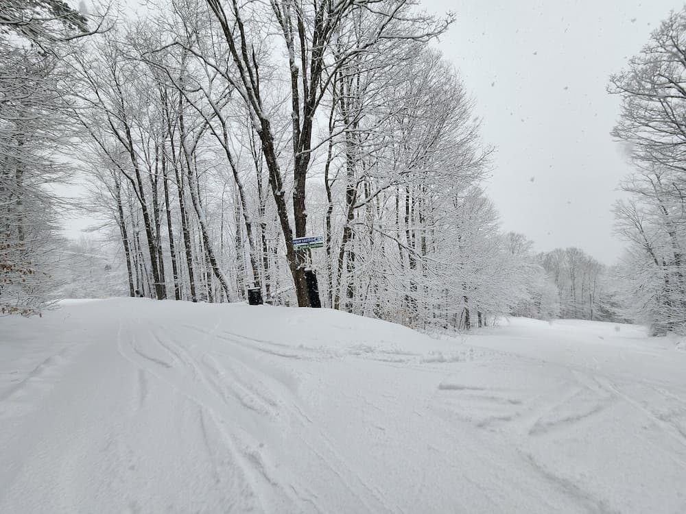 Skiing