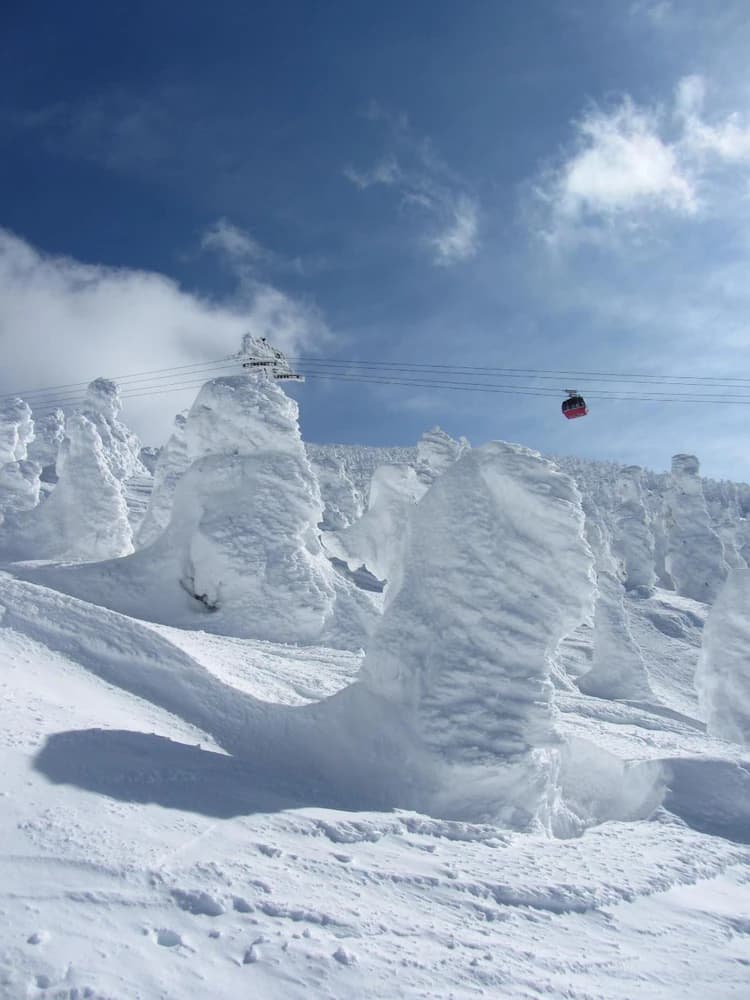Snow and ski sports