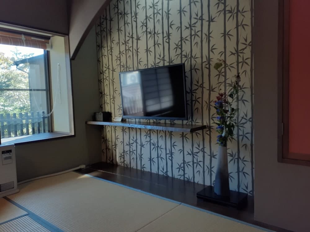 Television