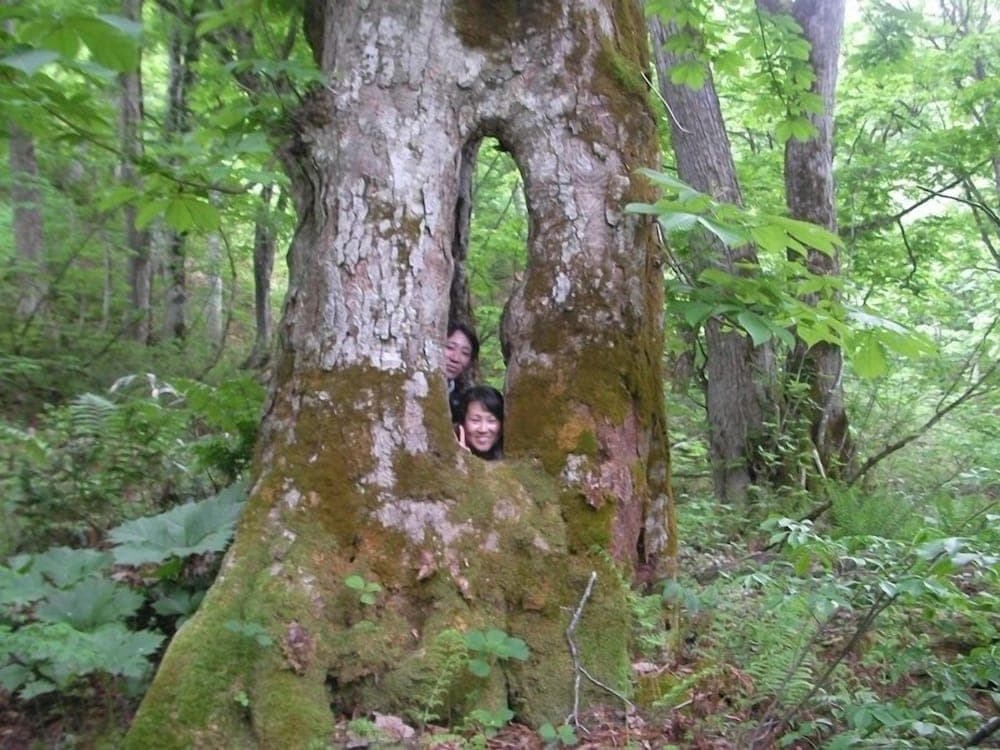 Hiking