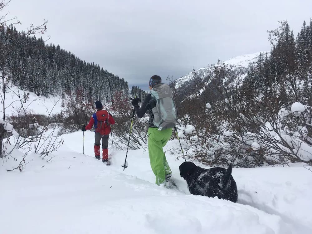 Hiking