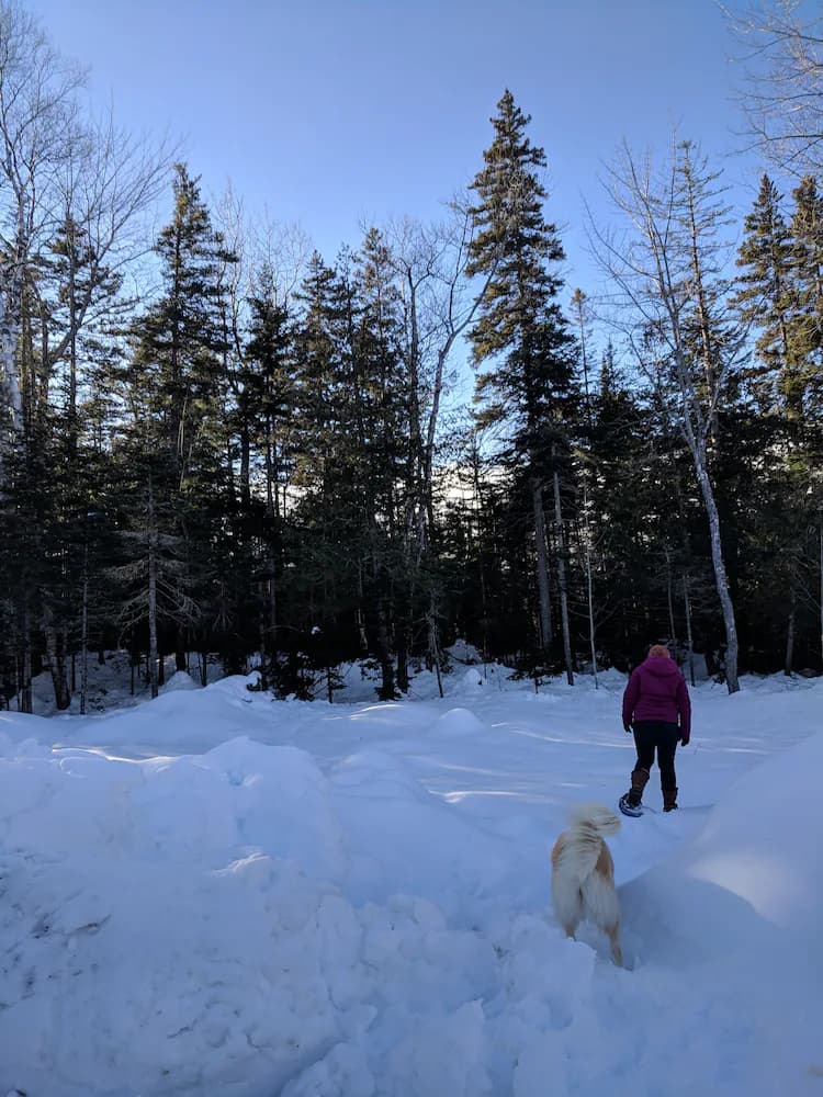 Snowshoeing