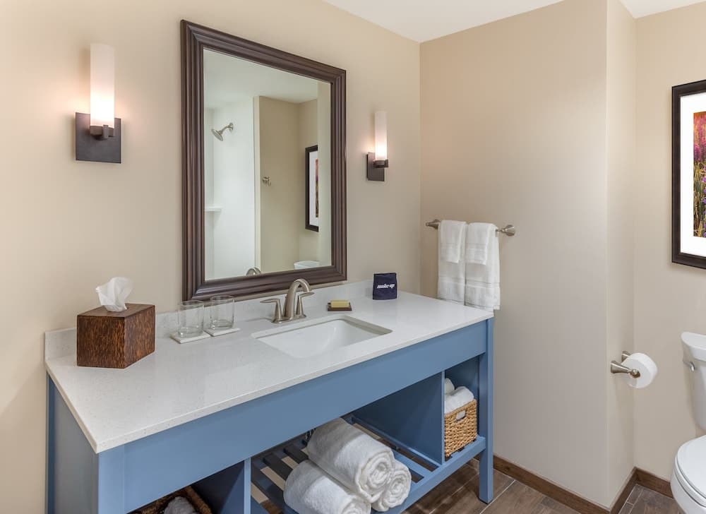 Bathroom sink