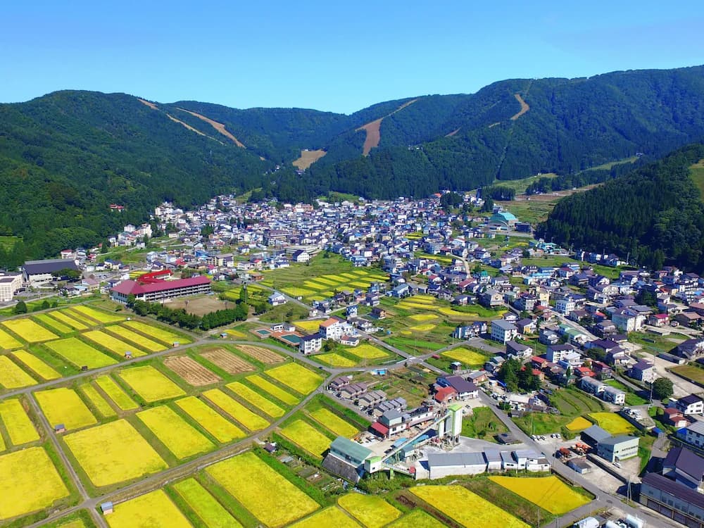 Mountain view