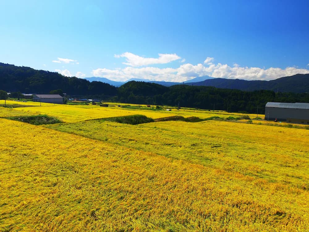 Mountain view