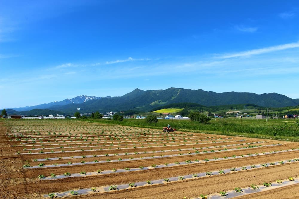 Land view from property