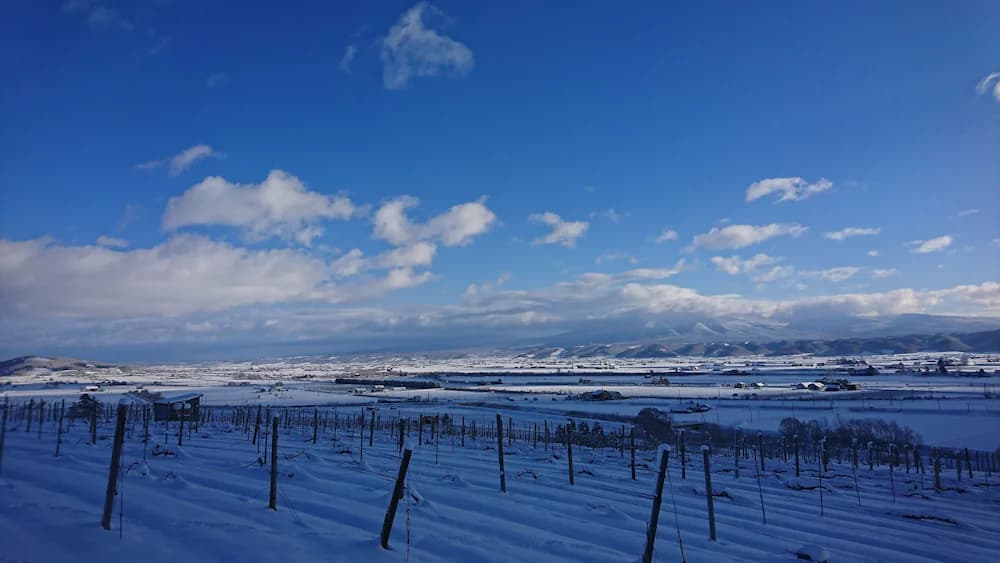 Land view from property