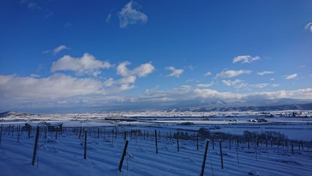 Land view from property