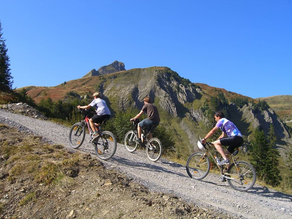 Bicycling