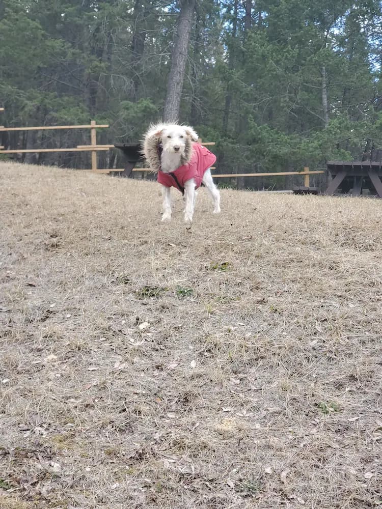 Hiking