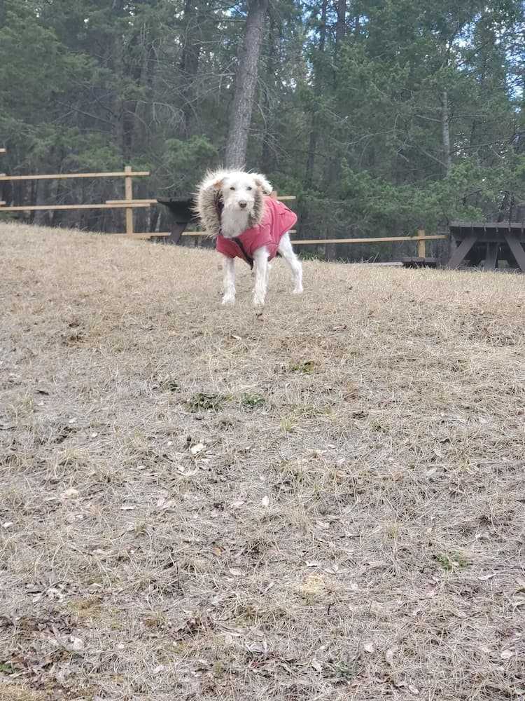 Hiking