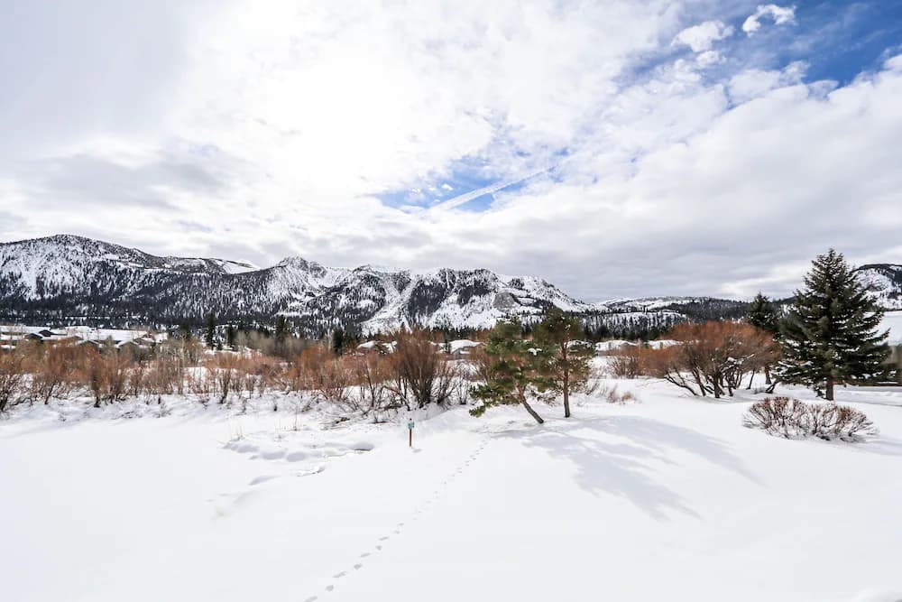 Snow and ski sports
