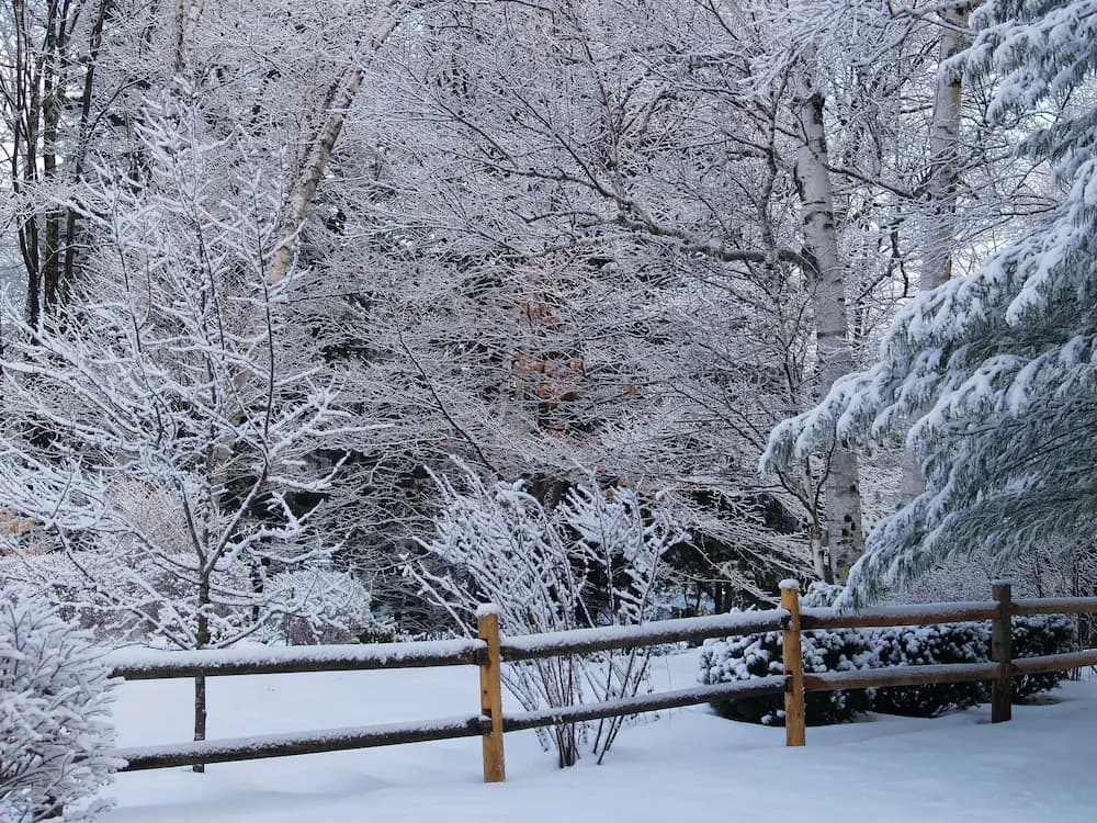 View from property