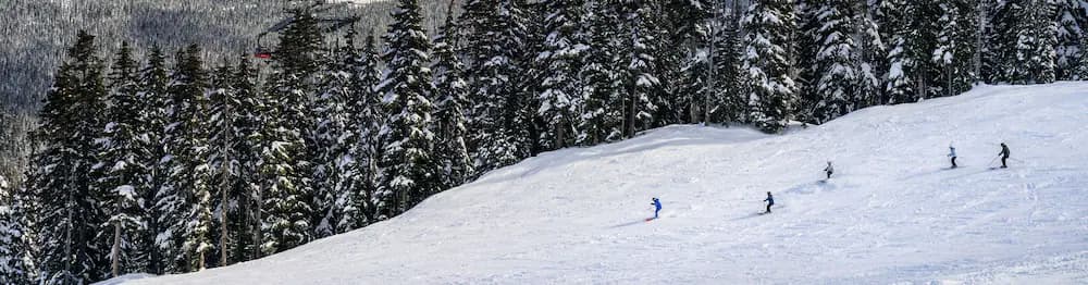 Skiing