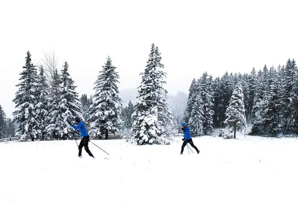 Skiing
