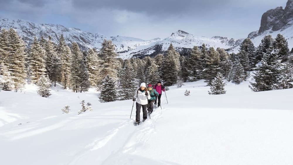 Snowshoeing
