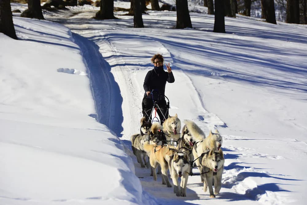 Snow and ski sports