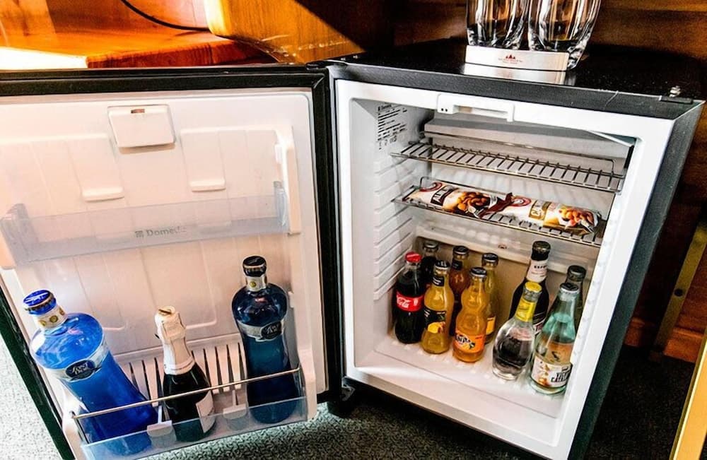Mini-refrigerator