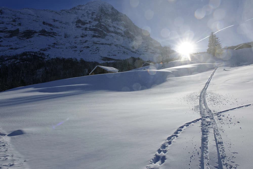 Snowshoeing