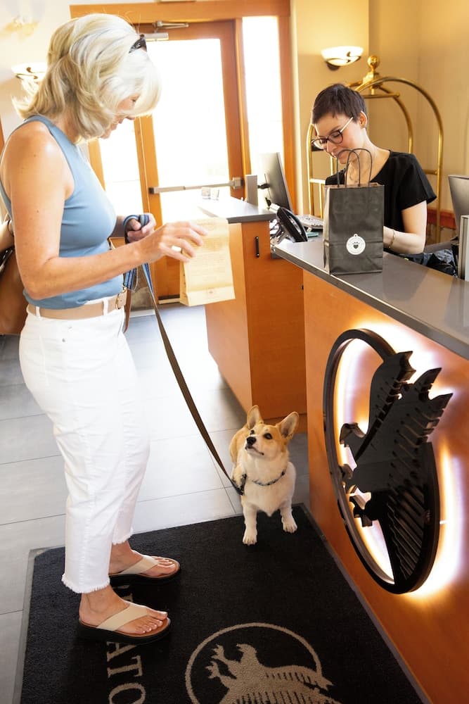 Pet-friendly