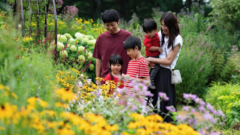 Japanese garden