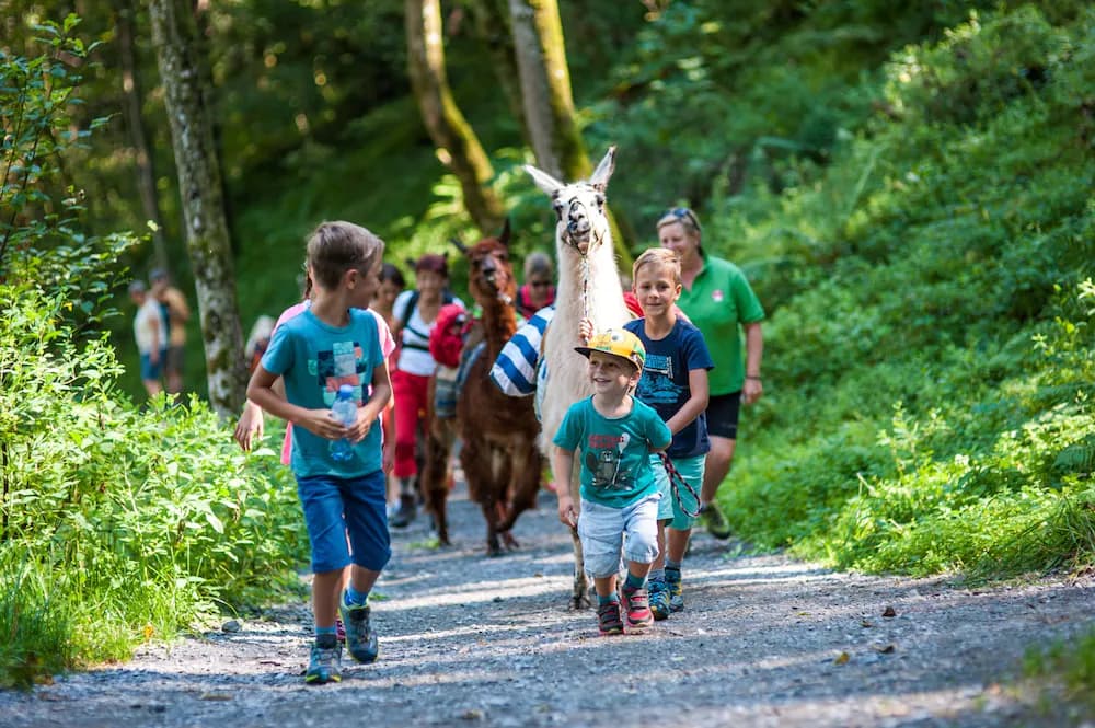 Children's activities