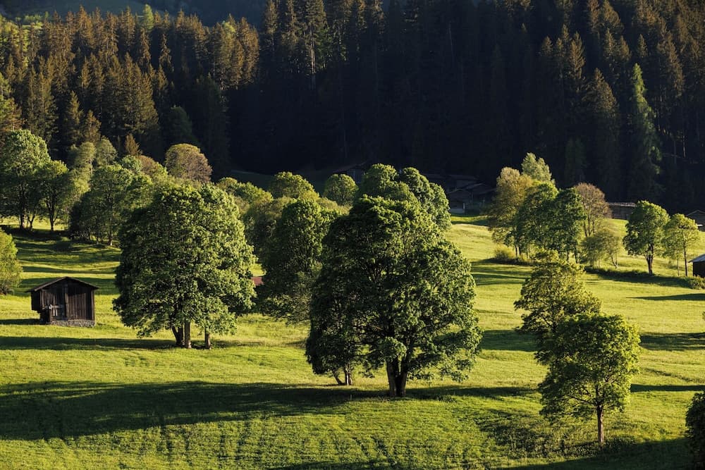 Land view from property