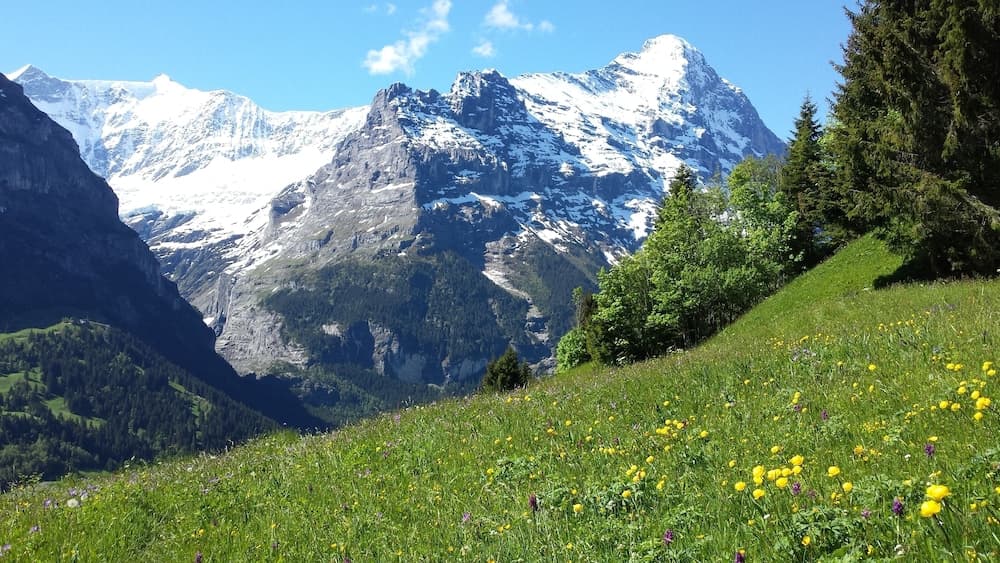 Mountain view