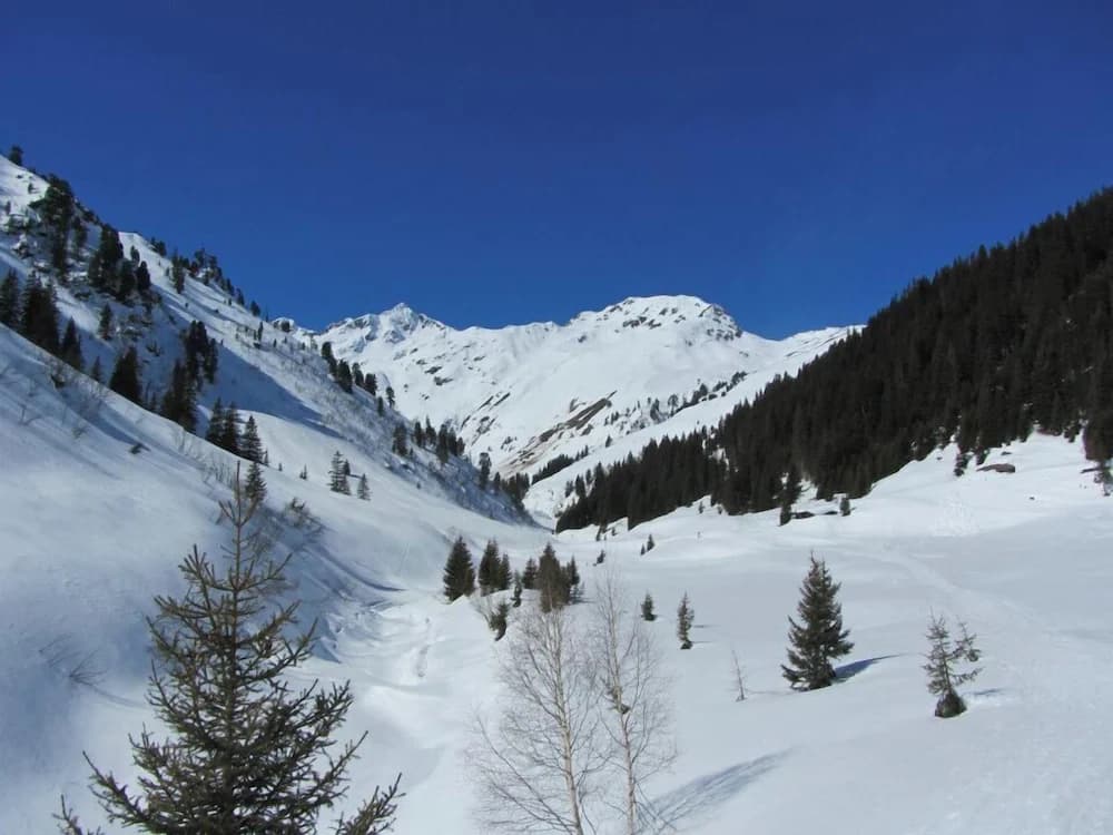 Skiing