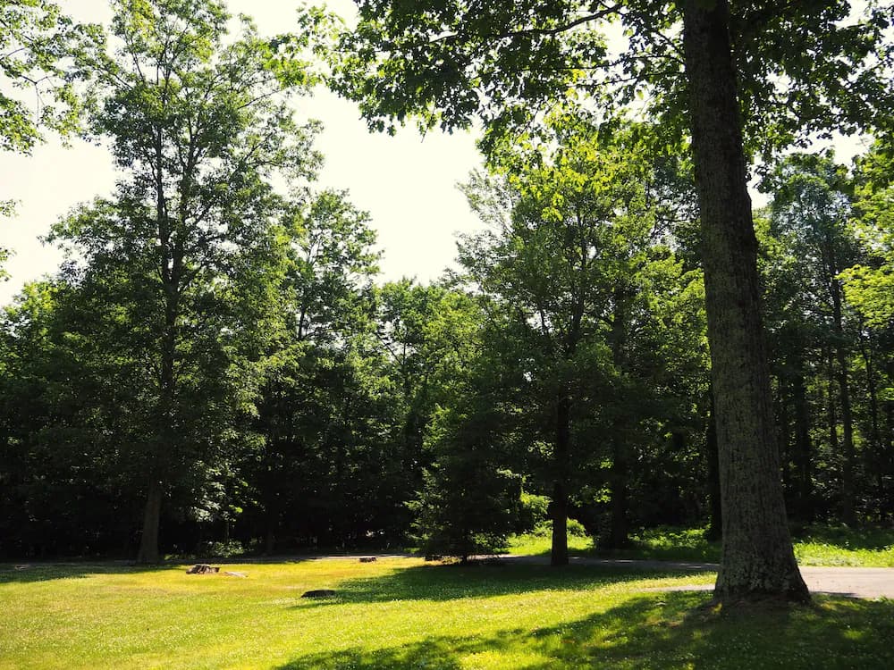 Land view from property