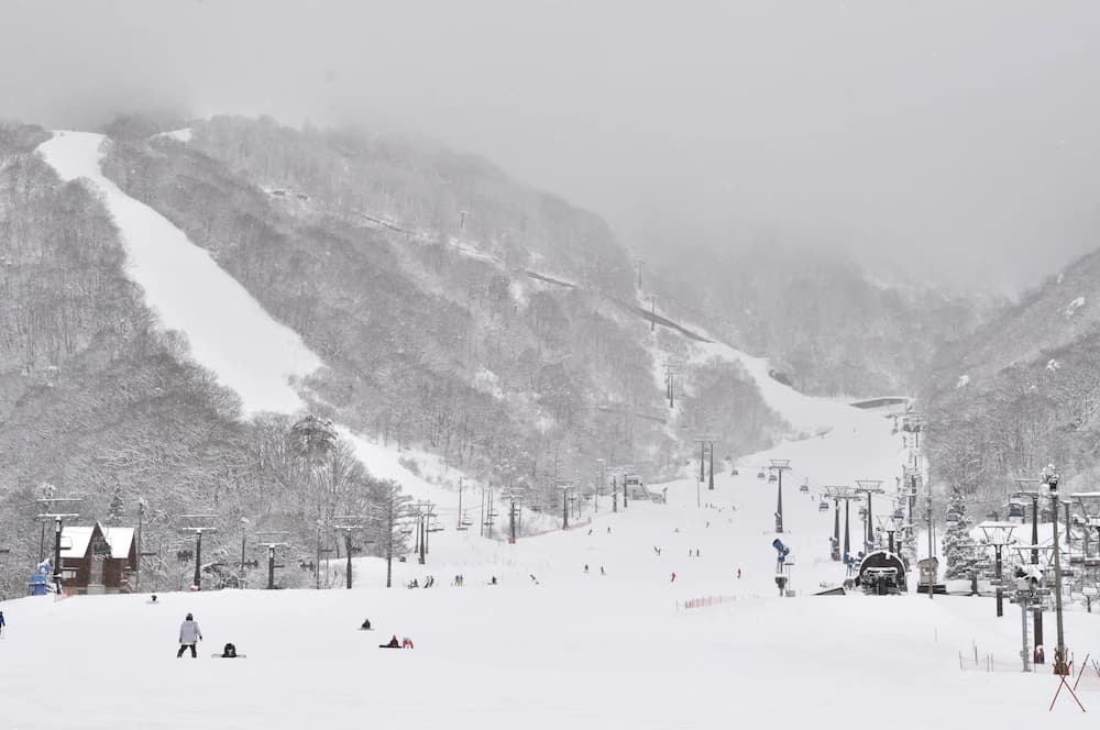Skiing