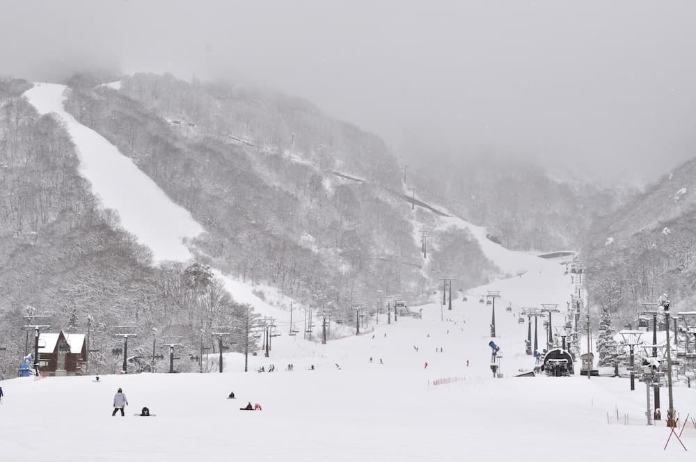 Skiing