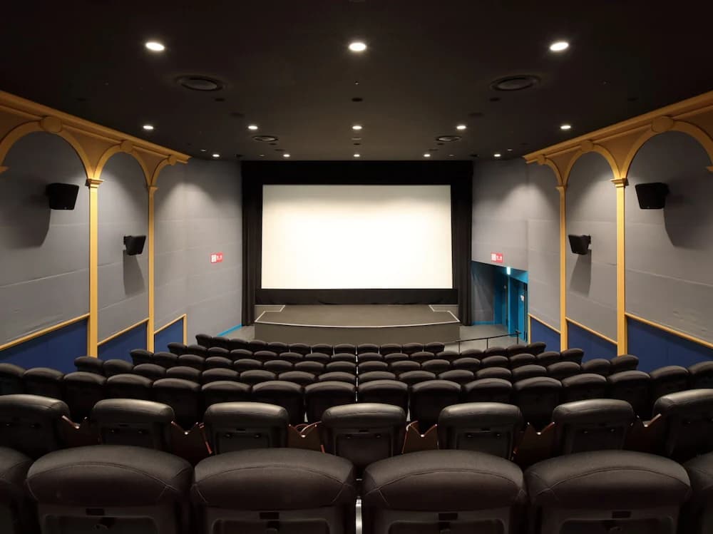 Theater show