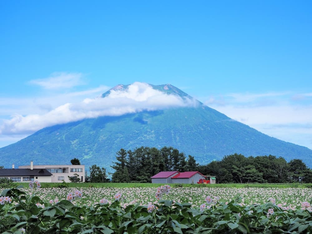 Mountain view