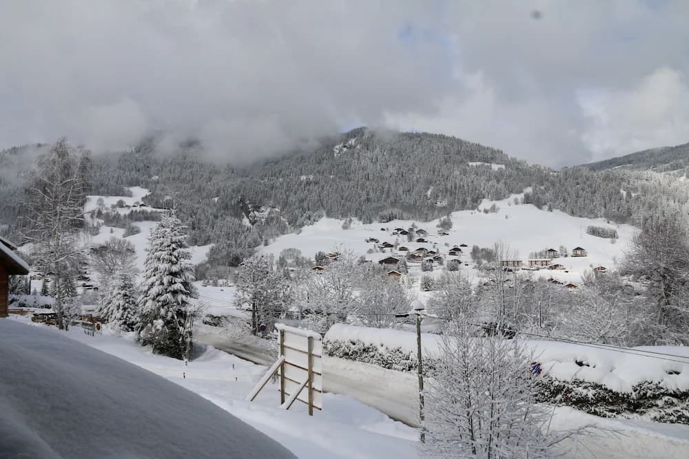 Mountain view