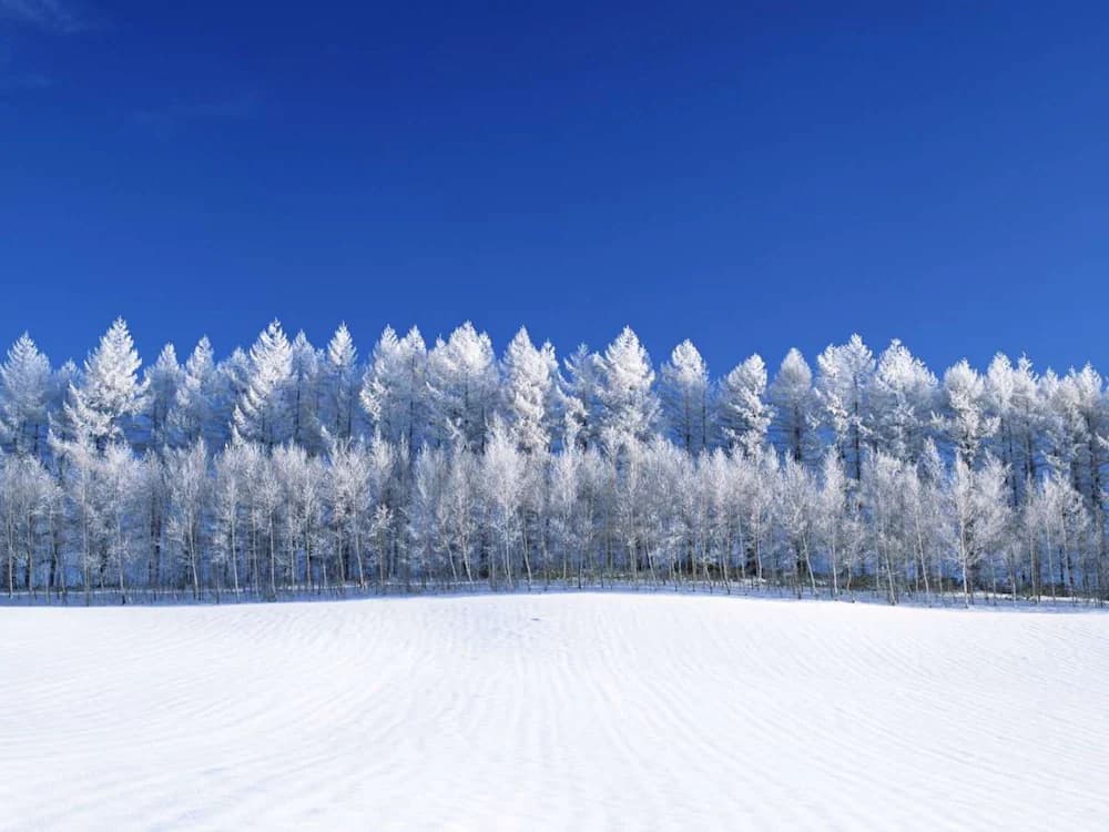 Skiing