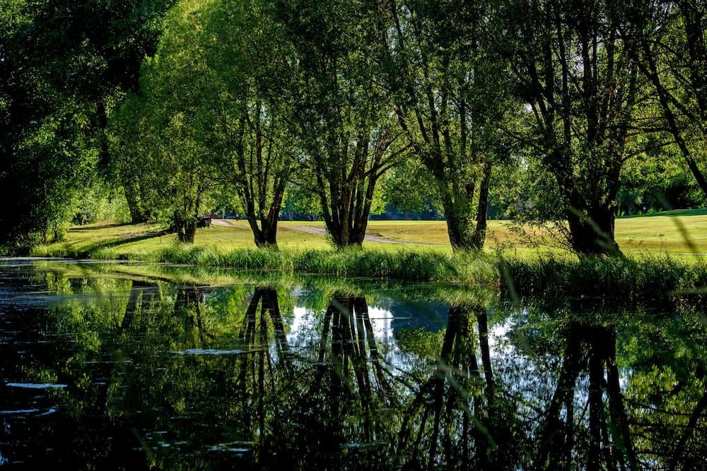 Lake