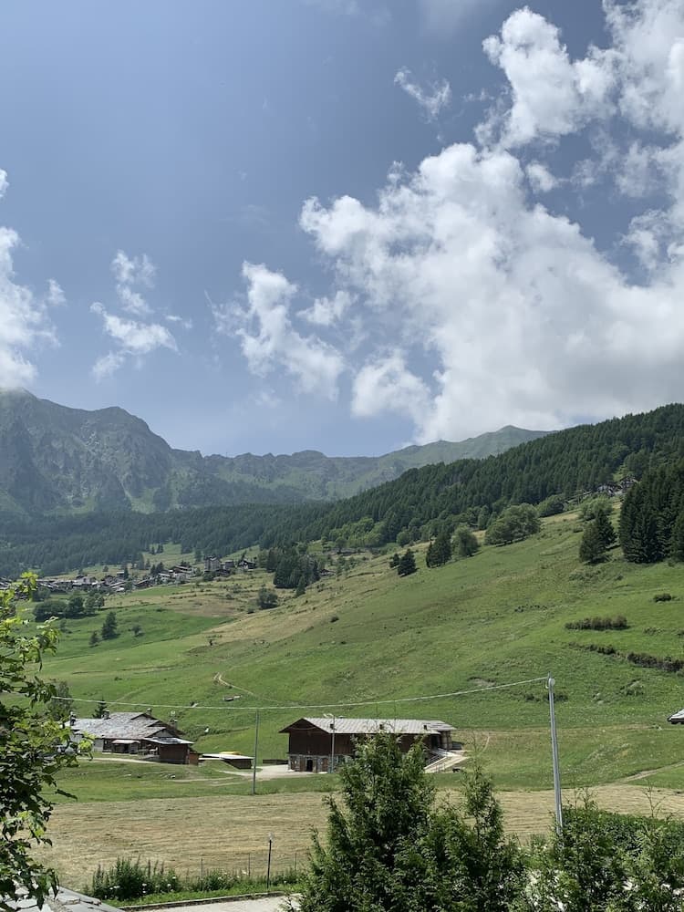View from room
