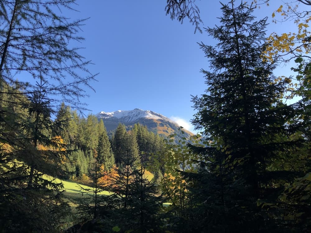 Hiking