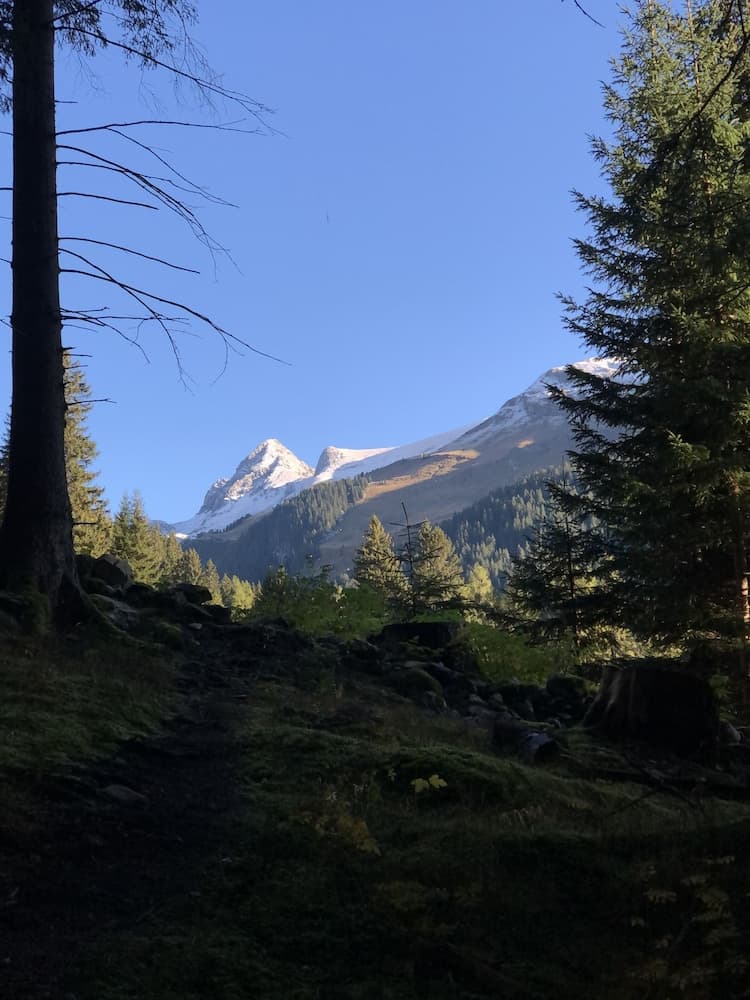 Hiking