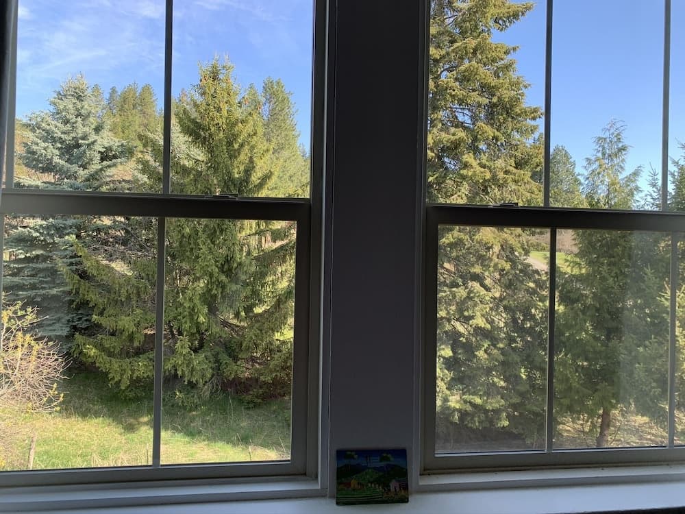 Garden view