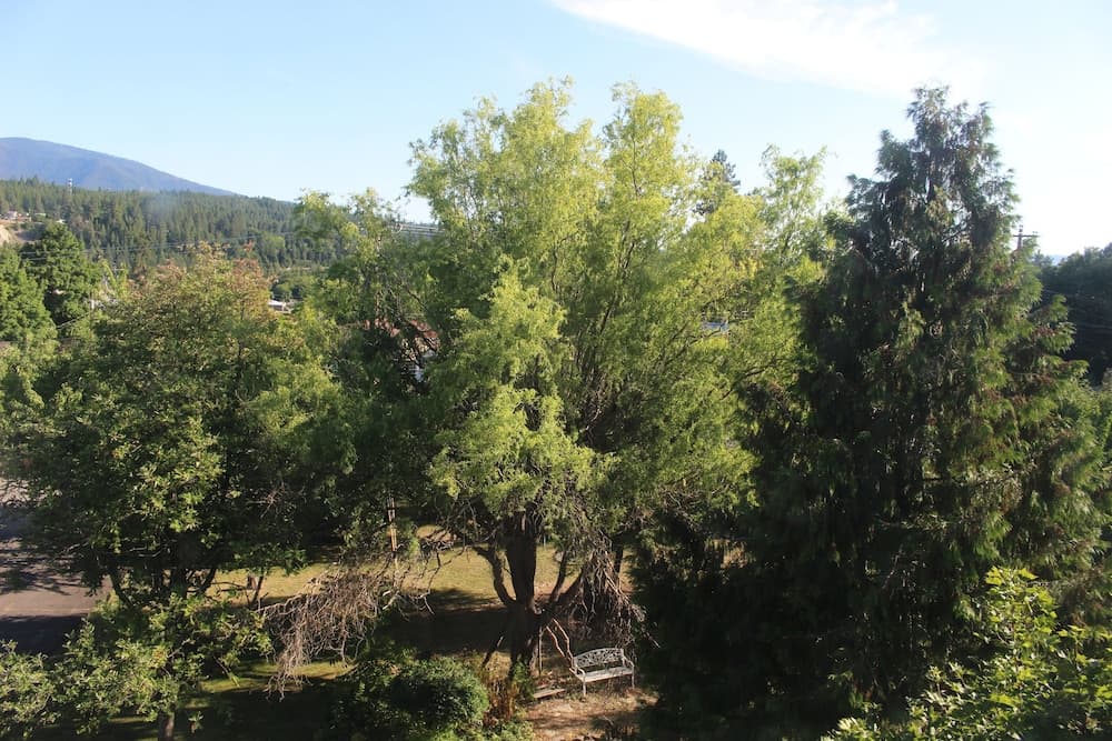 Garden view