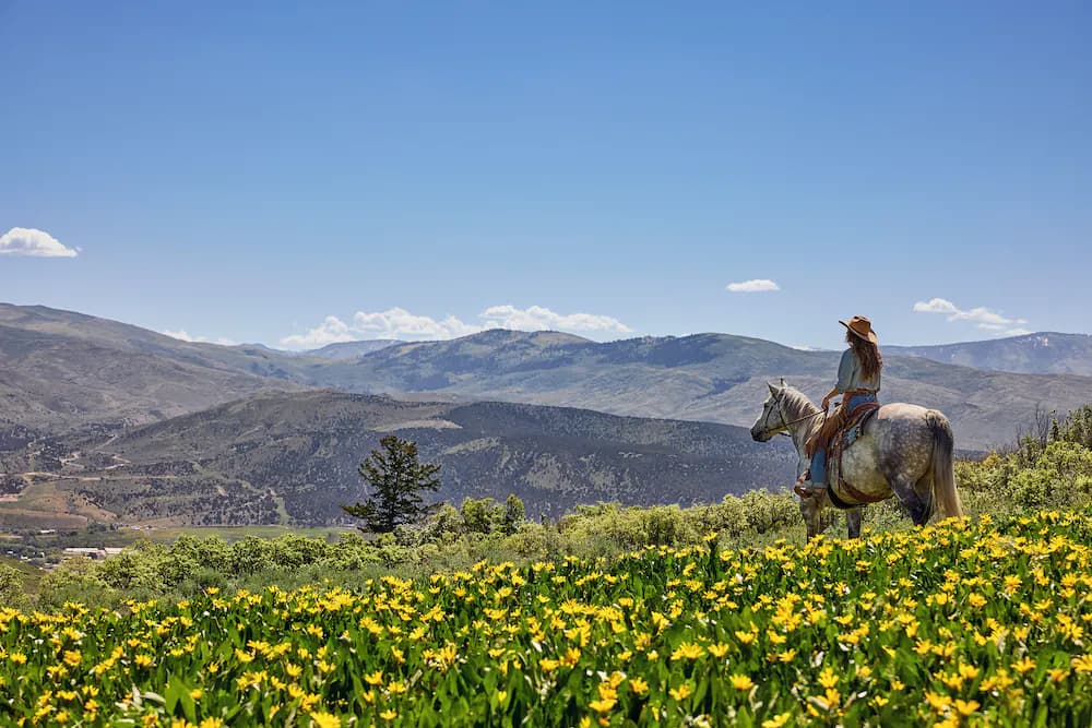 Horseback riding